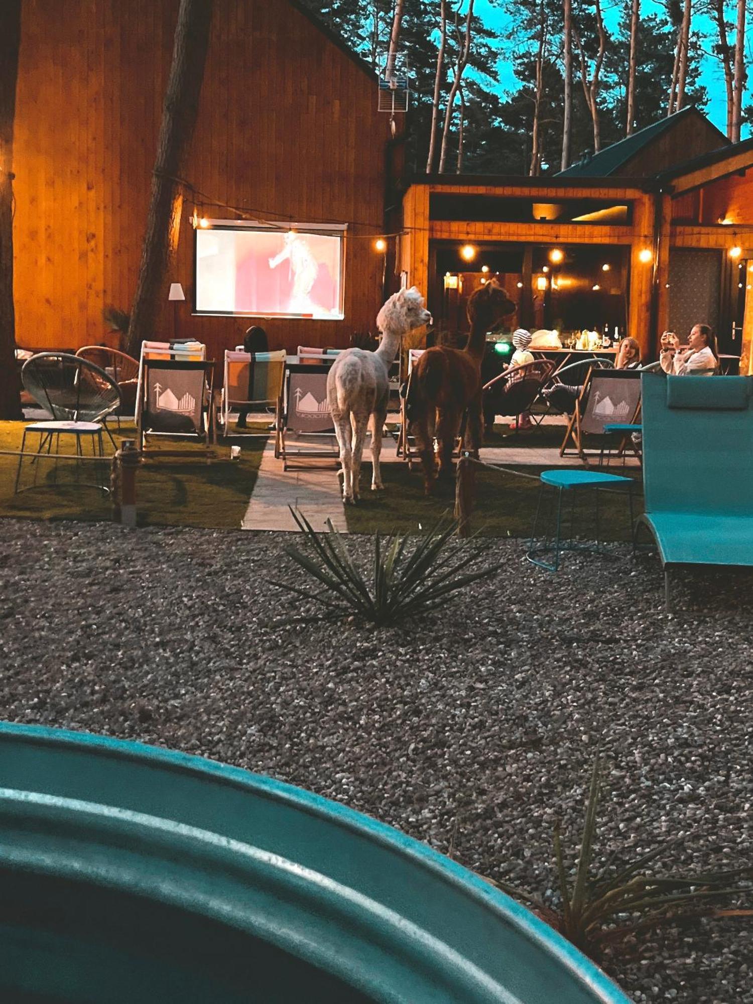 2 Stodoły Chillout Dziwnów
